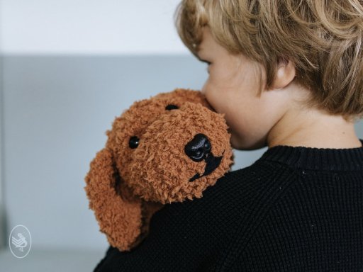 Bo the Dog crochet pattern Durable Teddy