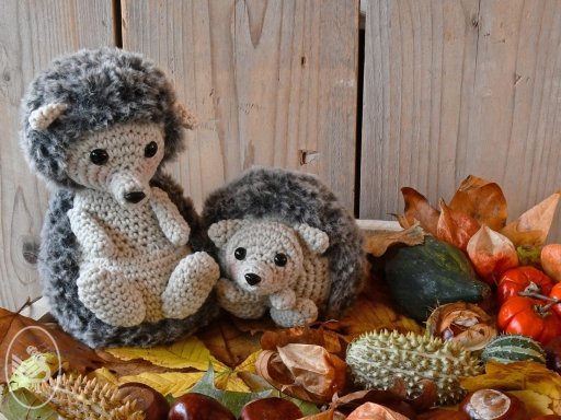 Hedgehogs Eline and Tess