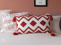 Aztec Cushion