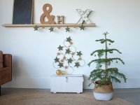 Gespot! ~ Kerstboom van ringen