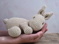 Hase Koosje