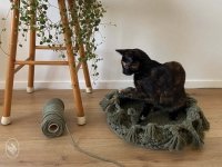 Macramé Cat Bed