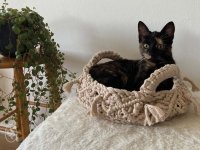 Panier pour chat en macramé