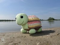 Tortue Toni