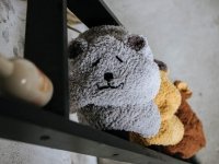 Umhang für Babys und Kleinkinder in Teddy